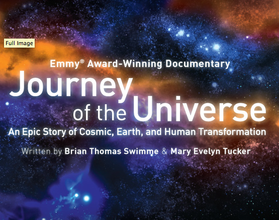 i am the universe essay Disclaimer: free essays on science posted on this site were donated by anonymous users and are provided for informational use only the free science research paper (the age of the universe essay) presented on this page should not be viewed as a sample of our on-line writing service. i am the universe essay Disclaimer: free essays on science posted on this site were donated by anonymous users and are provided for informational use only the free science research paper (the age of the universe essay) presented on this page should not be viewed as a sample of our on-line writing service.